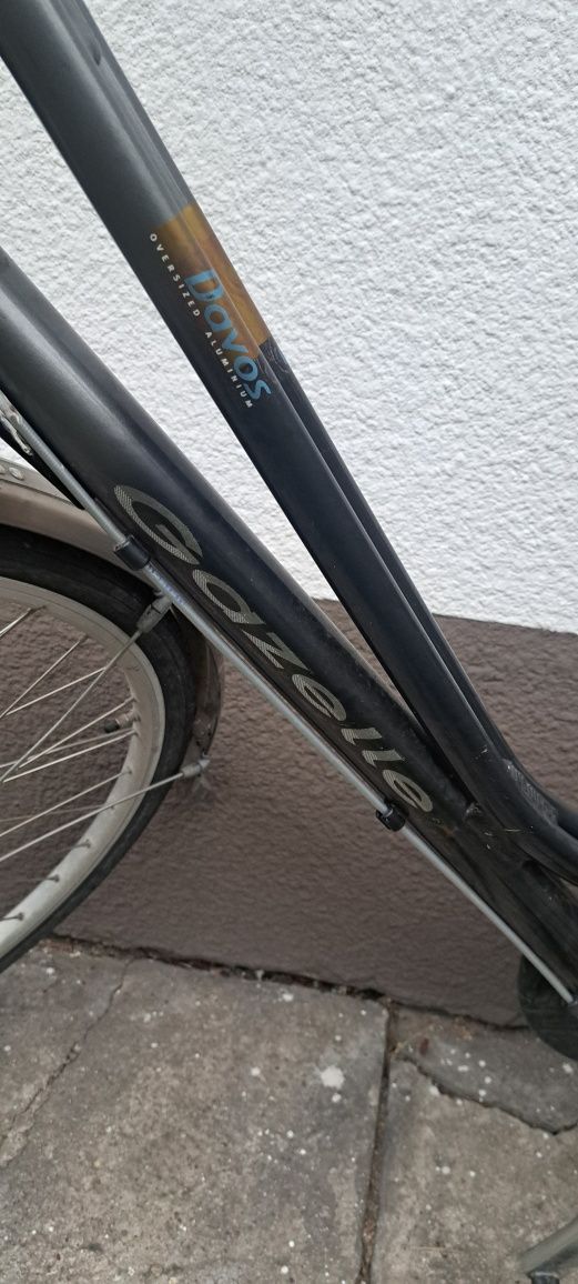 Rower Gazelle Davos