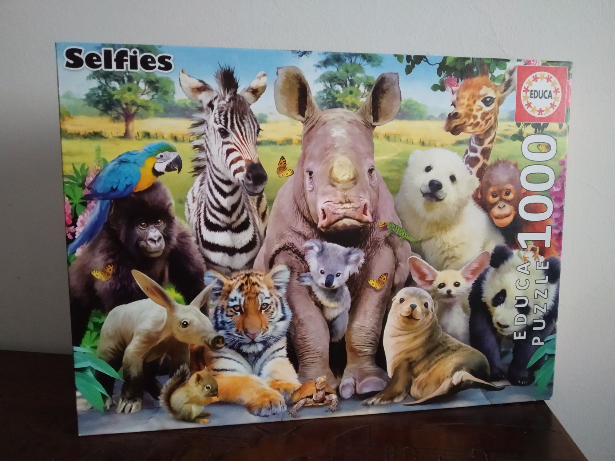 Puzzles 1000 peças