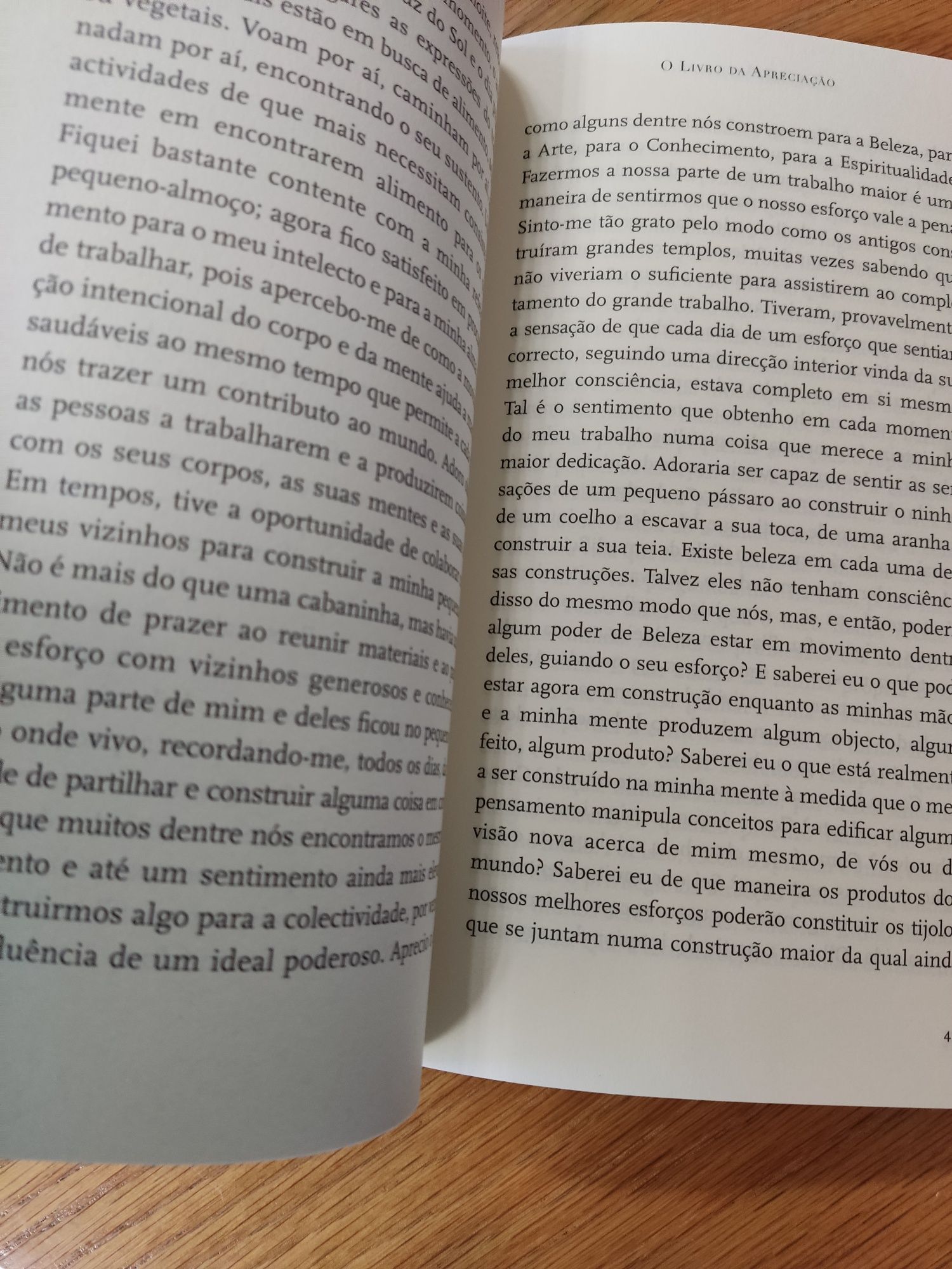 Livro "O Livro da Apreciação" de Vítor J. Rodrigues - Novo