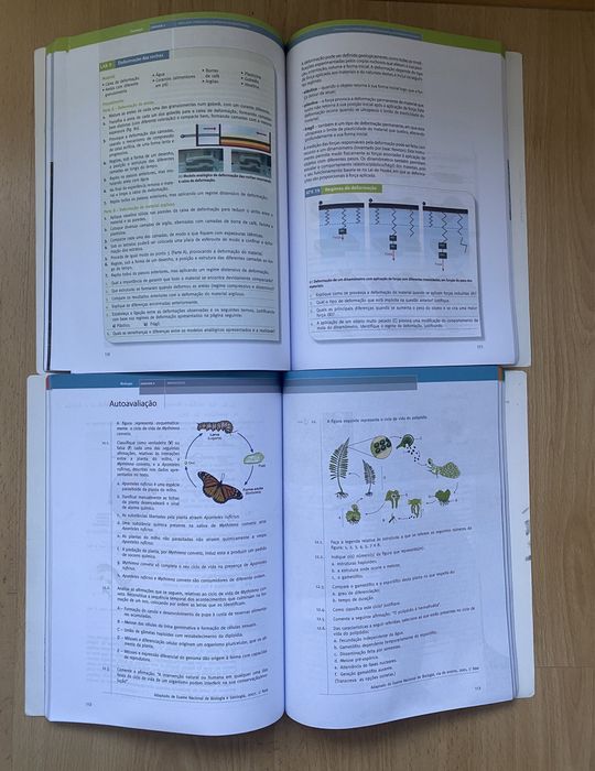 Manual e Caderno de atividades Biologia e Geologia Desafios