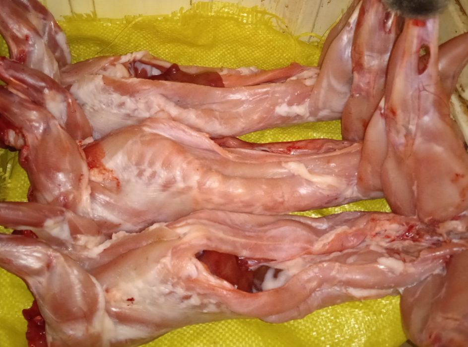 М'ясо кроликів домашніх дієтичне, екологічно чисте.