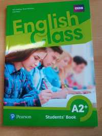 English Class A2+ kl 7 Pearson j angielski 

Podręcznik wieloletni

Wy