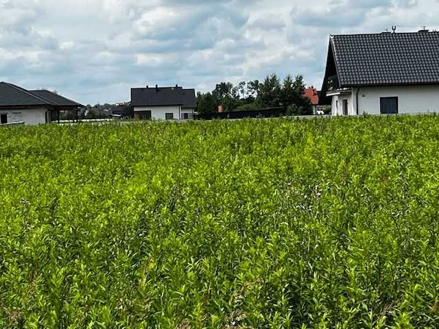Sprzedam działki- Wierzawice