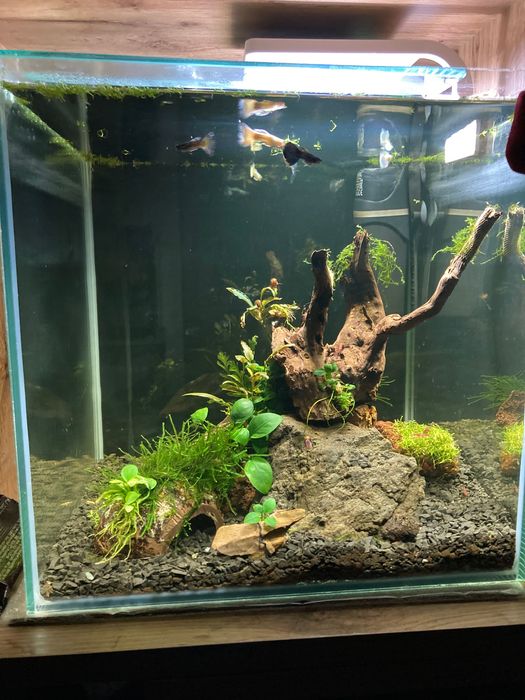 Фільтр для акваріума Акваель фан міні