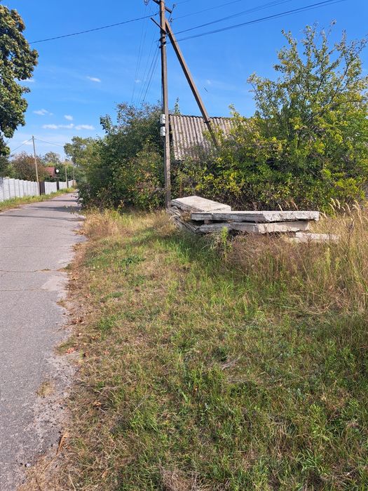 Участок Боромыки на берегу Десны