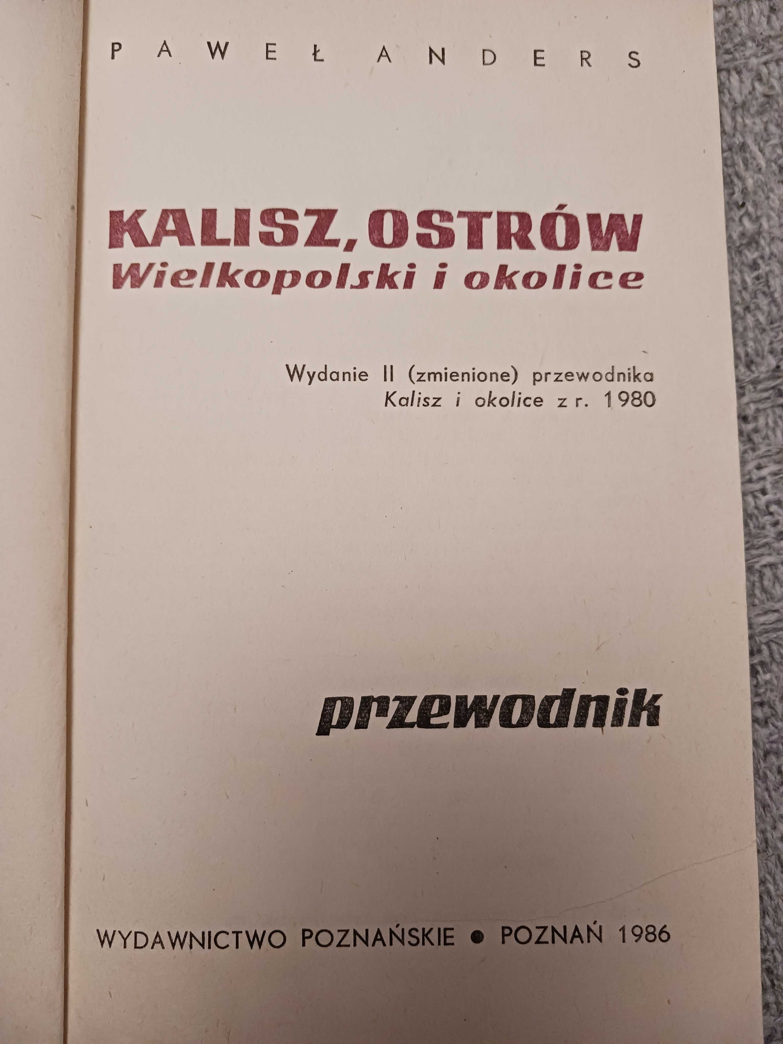 Kalisz, Ostrów Wielkopolski i okolice, Przewodnik