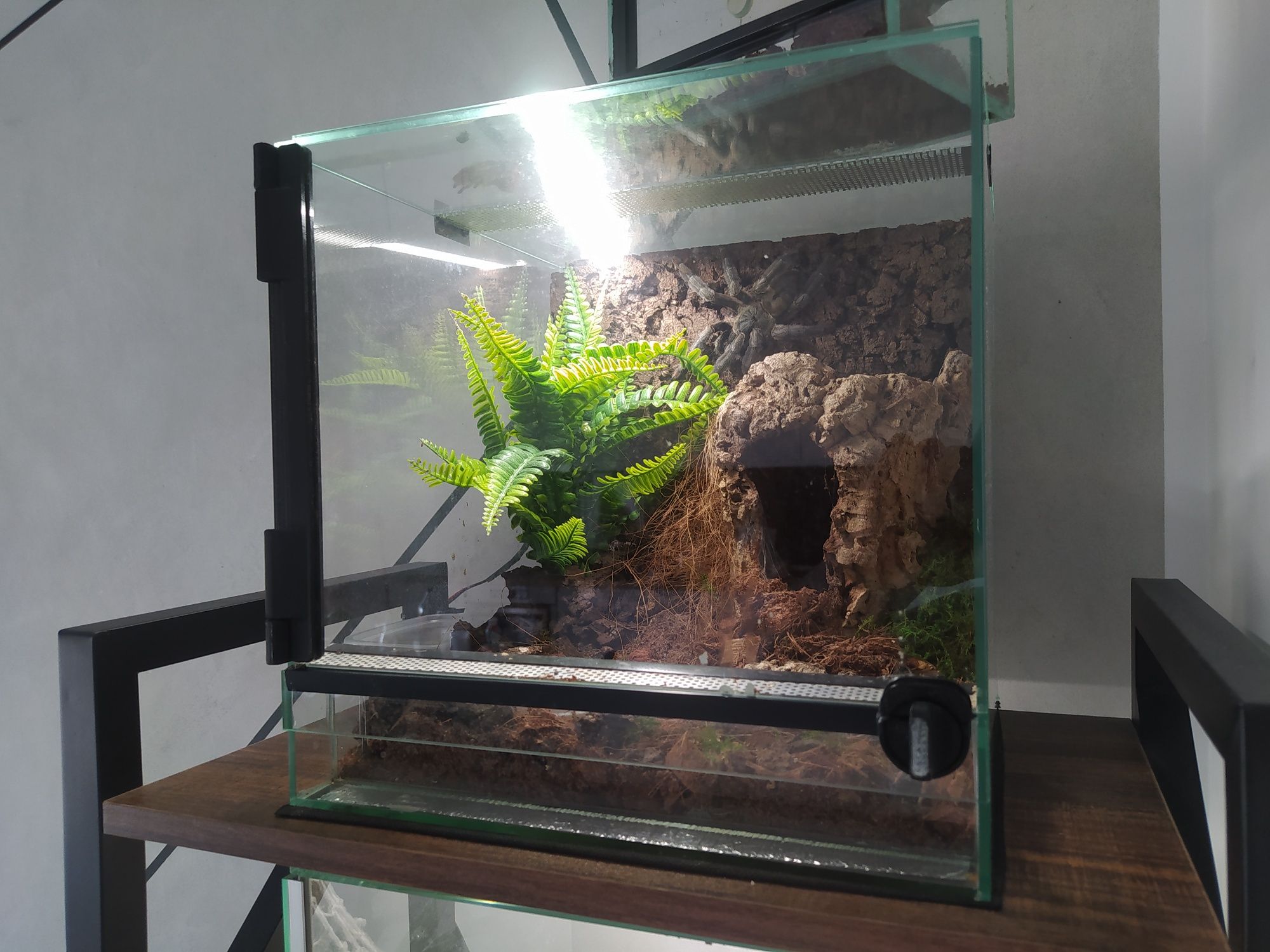 Terrarium 30 30 30 otwierane na zawiasie