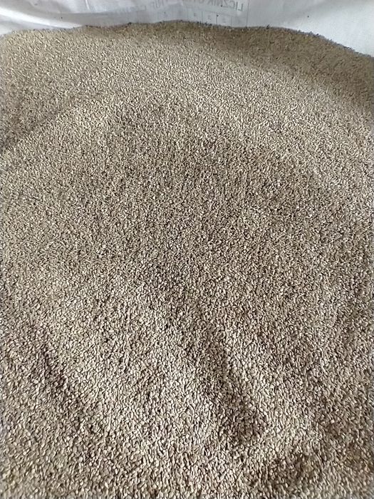 Seradela Seladera Saladera Saradela