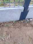 Uchwyt ceownik mocowanie uchwyt do podmurówki płyty betonowej 20x5cm