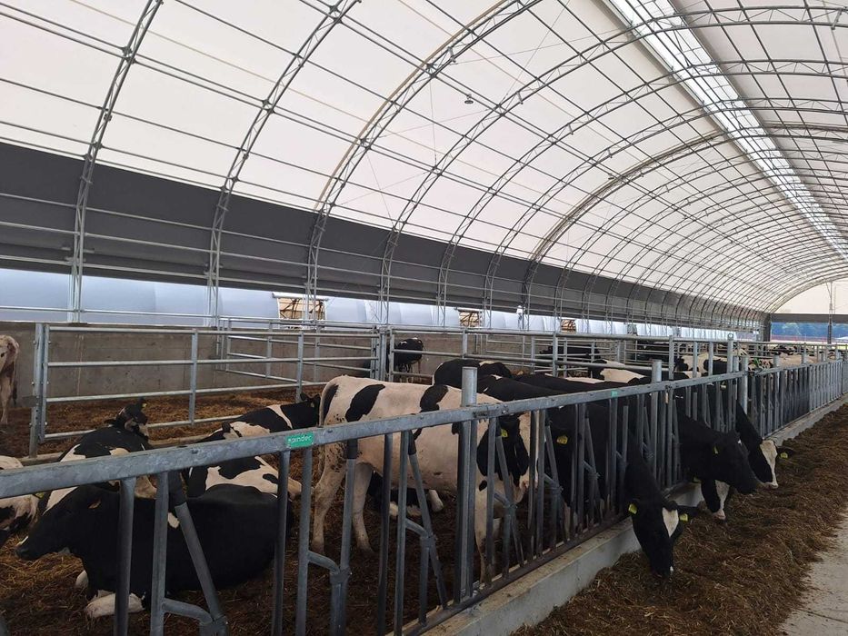 Oryginalne HaleNaBale.pl pod bydło 16x30 wietrz. boczne i kalenicowe