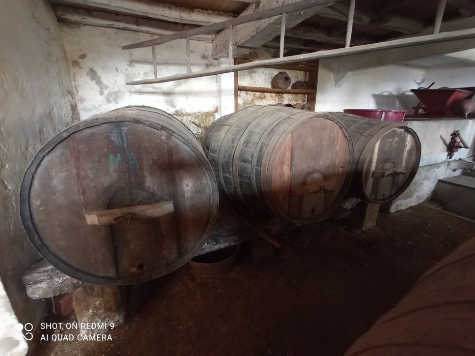 Pipos de vinho antigos