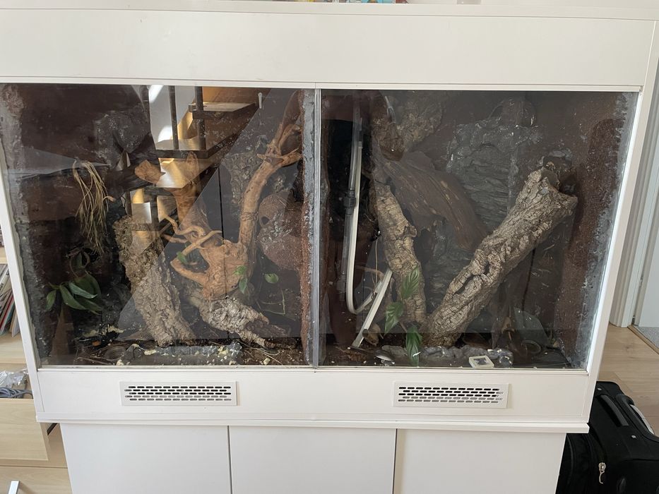 Podwojne terarium + pelne wyposazenie pod jaszczurki  !