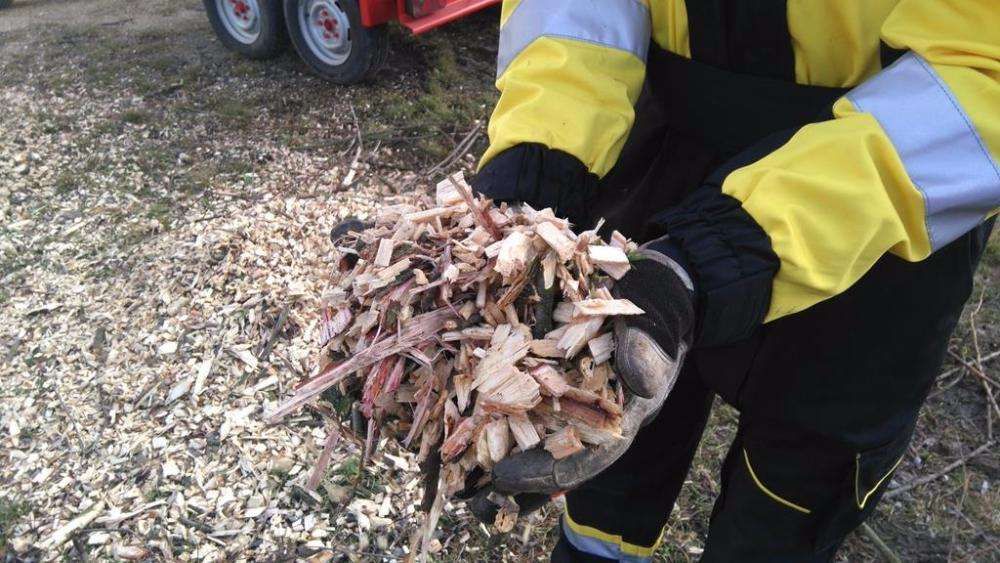 Wycinka drzew trudnych, rębakowanie, frezowanie pni, firma ALPINMED