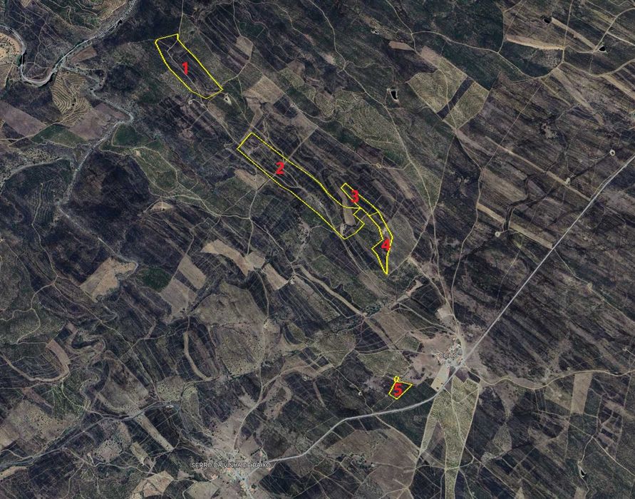 Prédios Rústicos - Alcoutim