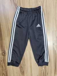 Spodnie dresy Adidas 92cm 18-24m