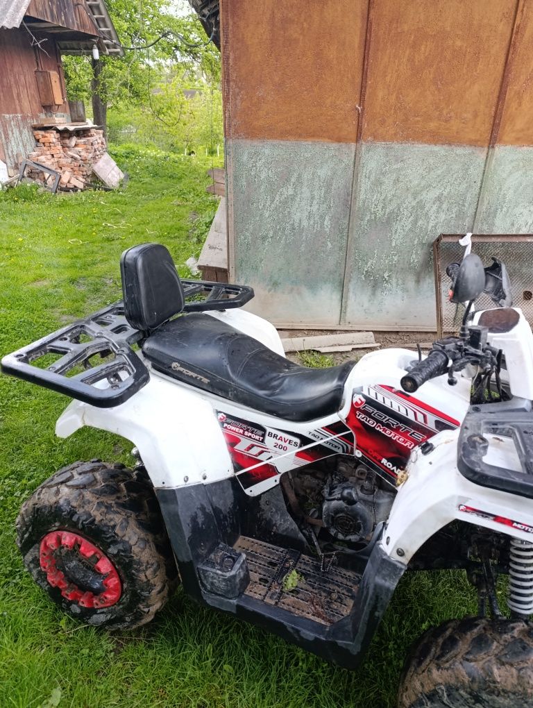 Forte braves 200