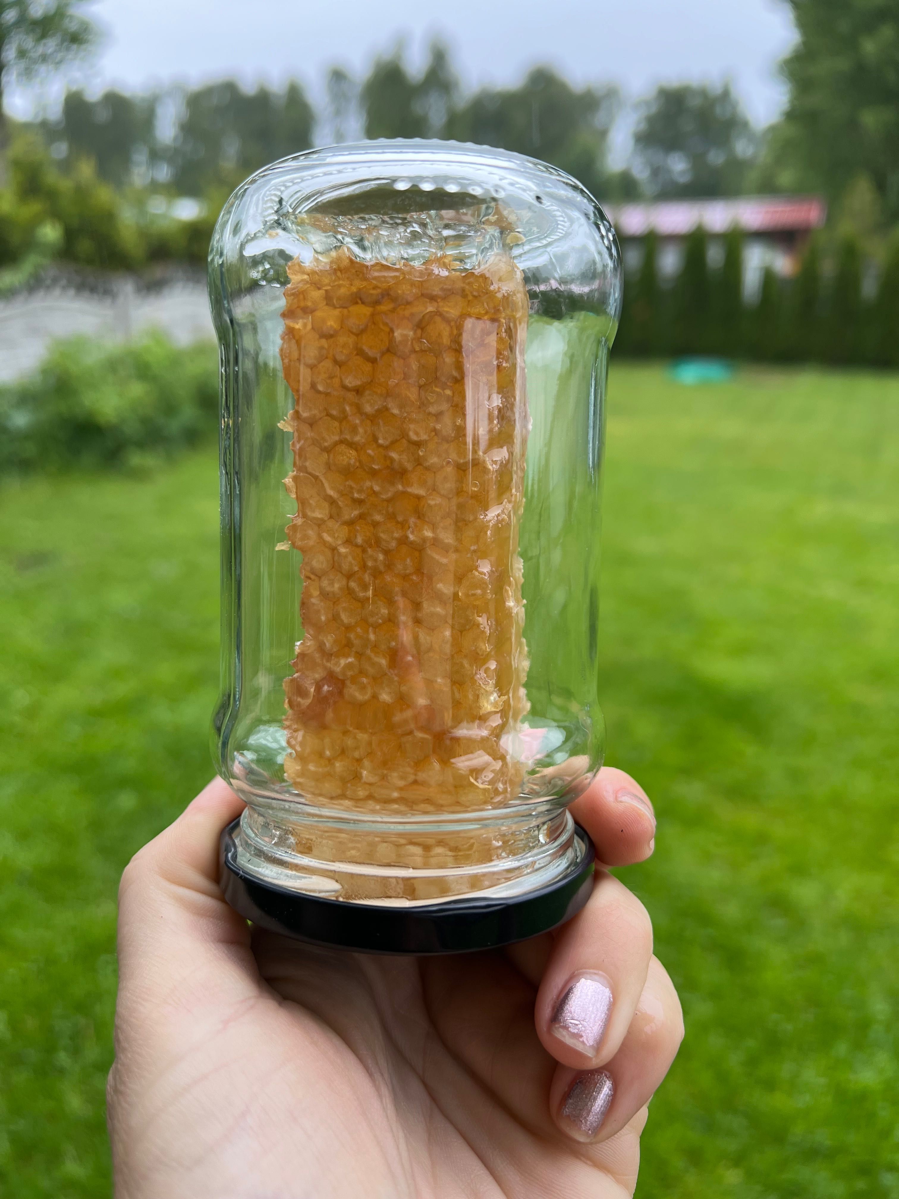 Miód Spadź Iglasta 0,5 kg