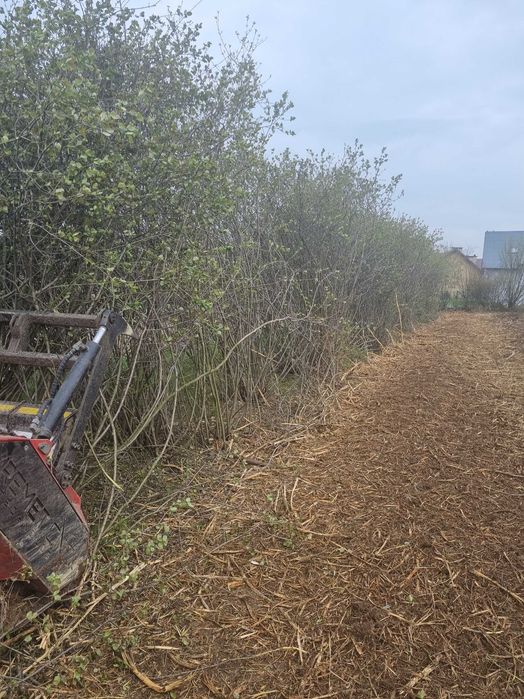 Mulczer leśny/ Czyszczenie działek/ Karczowanie/ Wycinka