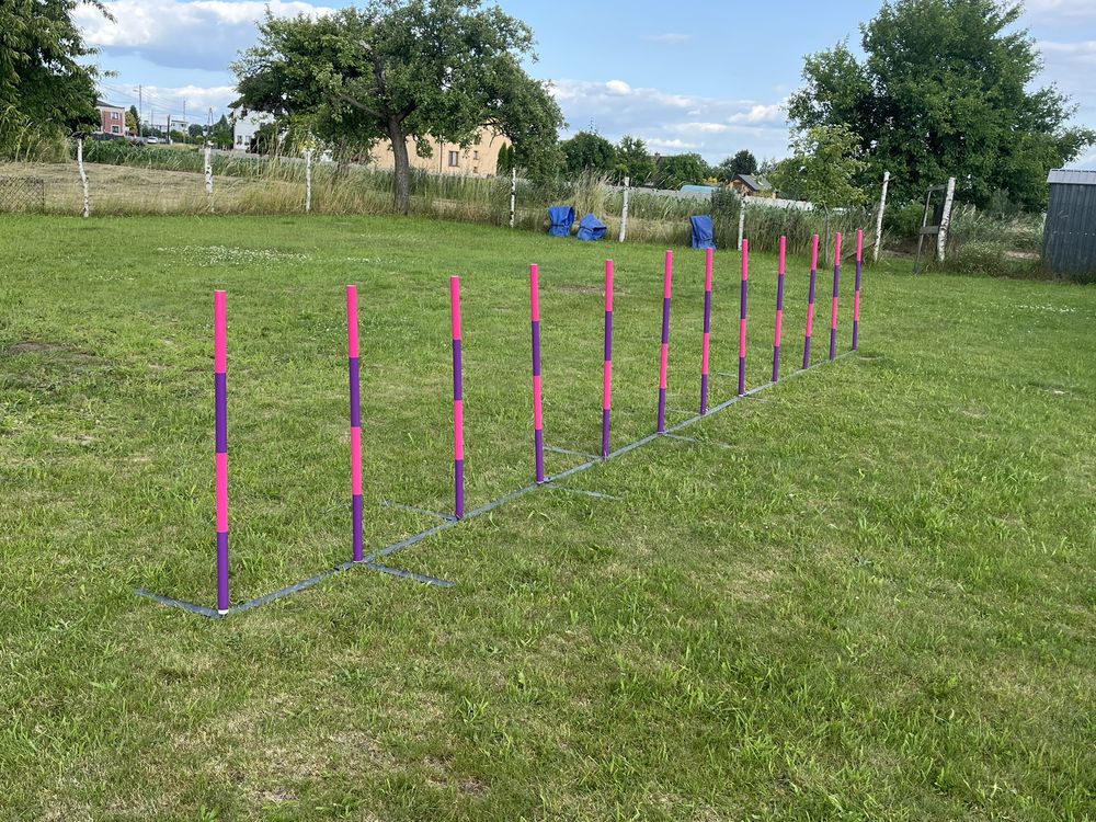 Slalom Agiliti dla pieskow