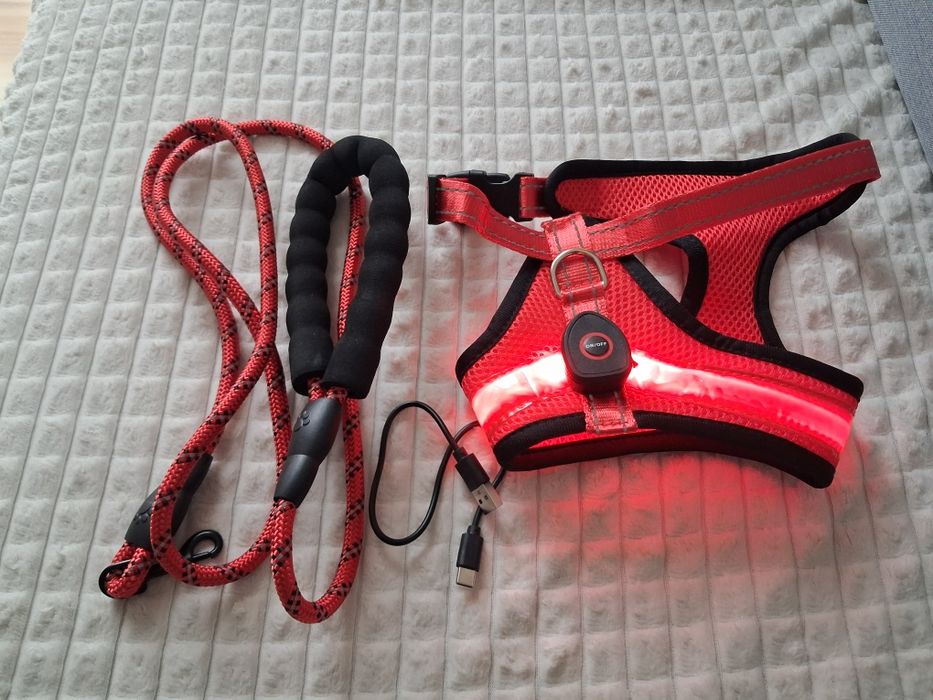 Szelki LED dla psa + smycz roz. M
