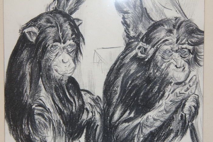 Desenho em carvão vegetal do artista Holandês Van Laere - 1943
