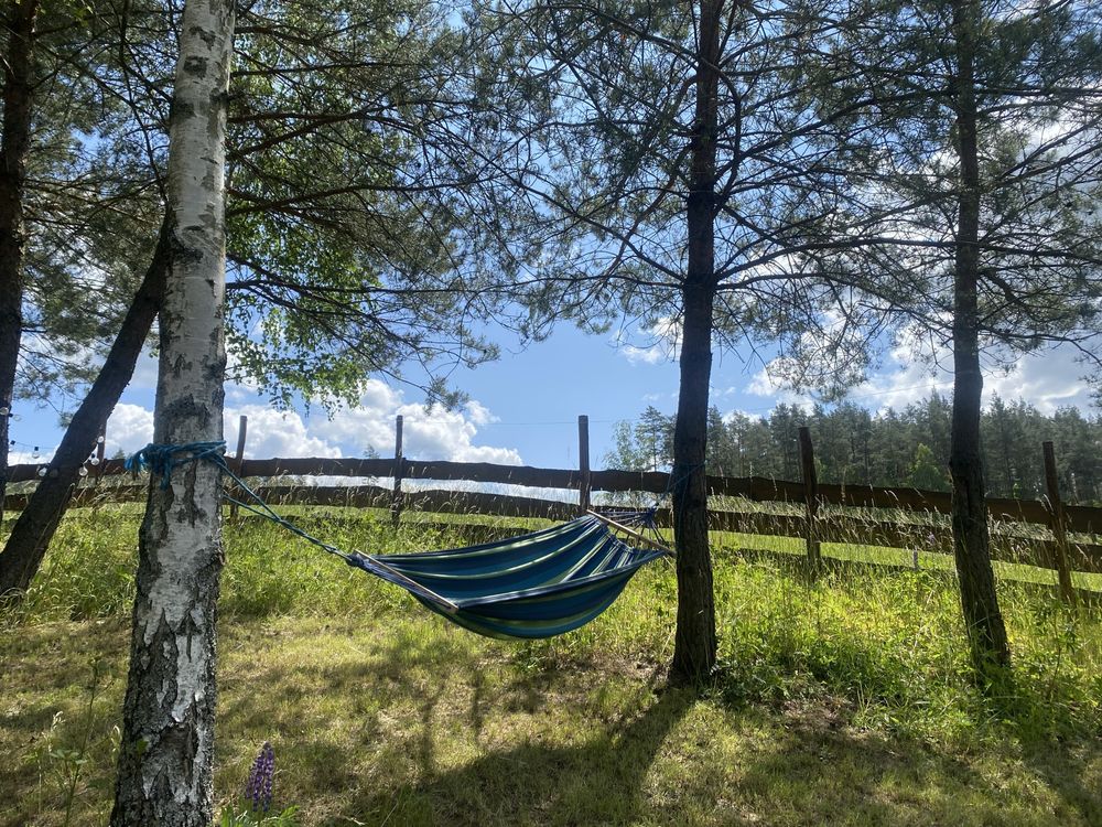Mazury Domek Jezioro brak wolnych terminów w sierpniu