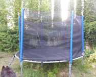 Trampolina ogrodowa 310 cm