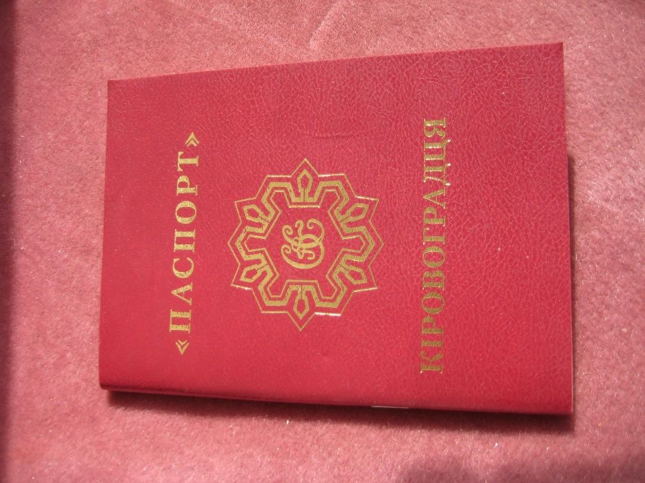 книжка Сувенир паспорт кировоградца, кожаная обложка