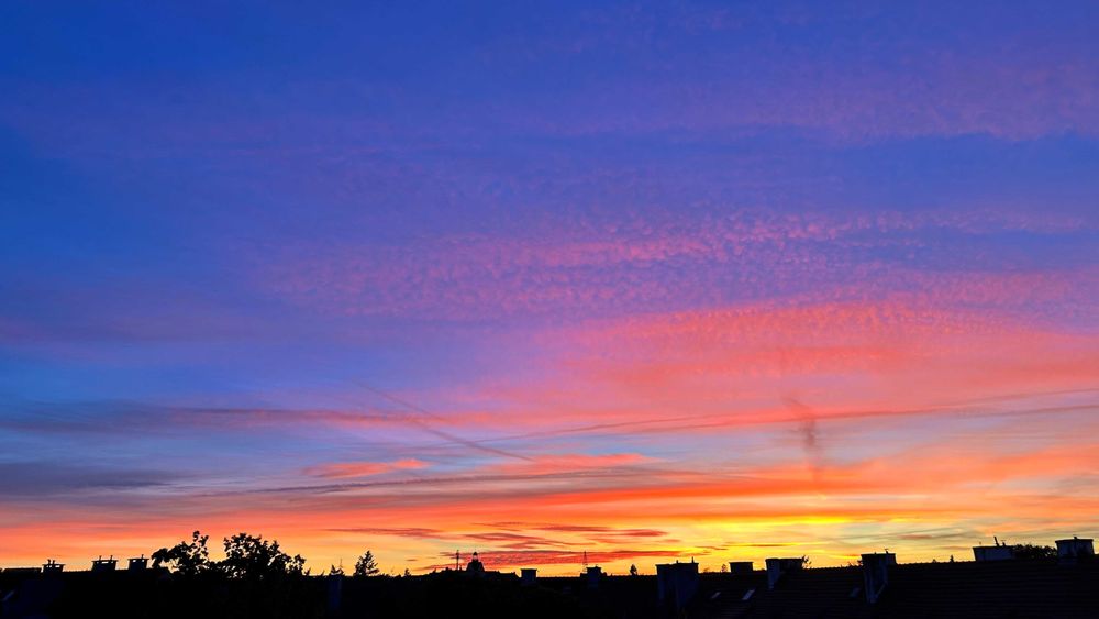 Unikatowe 100 m² z duszą na 5. piętrze