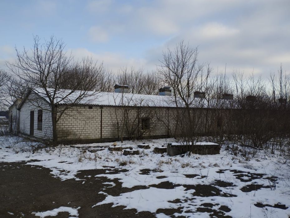 Продам Птахофабрику бройлер несушка