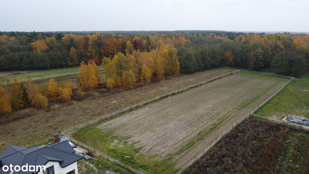 Działki w pobliżu lasu, Głogów Młp.