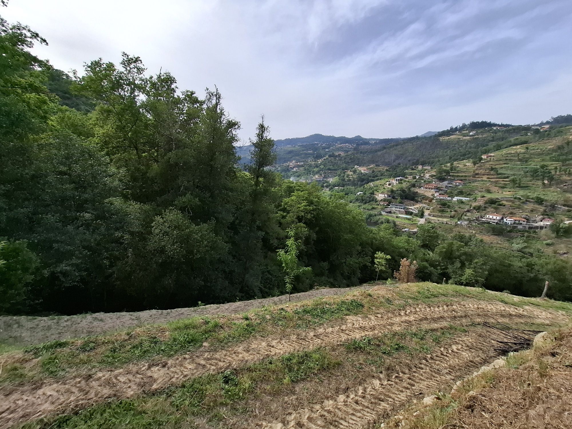 Ruína de moinho, ribeiros, nascente e vista Douro - 3.860m² em Cinfães