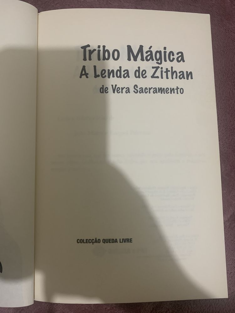 Livro “A lenda de Zithan” de Vera Sacramento