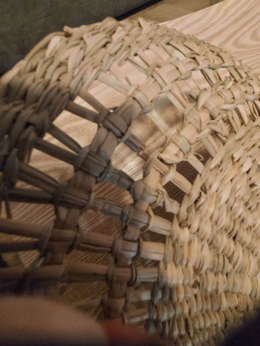 Klosz bambus trawa morska 60 cm+ drugi gratis