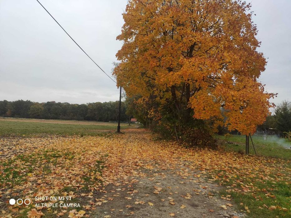 Działka budowlana Węgrzce gmina Wińsko