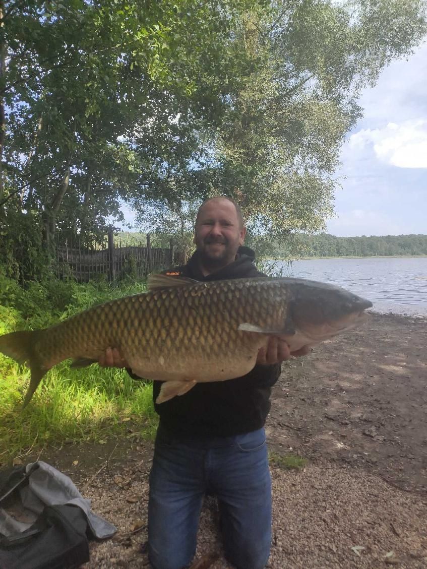 Kulki proteinowe na karpia Miodowe