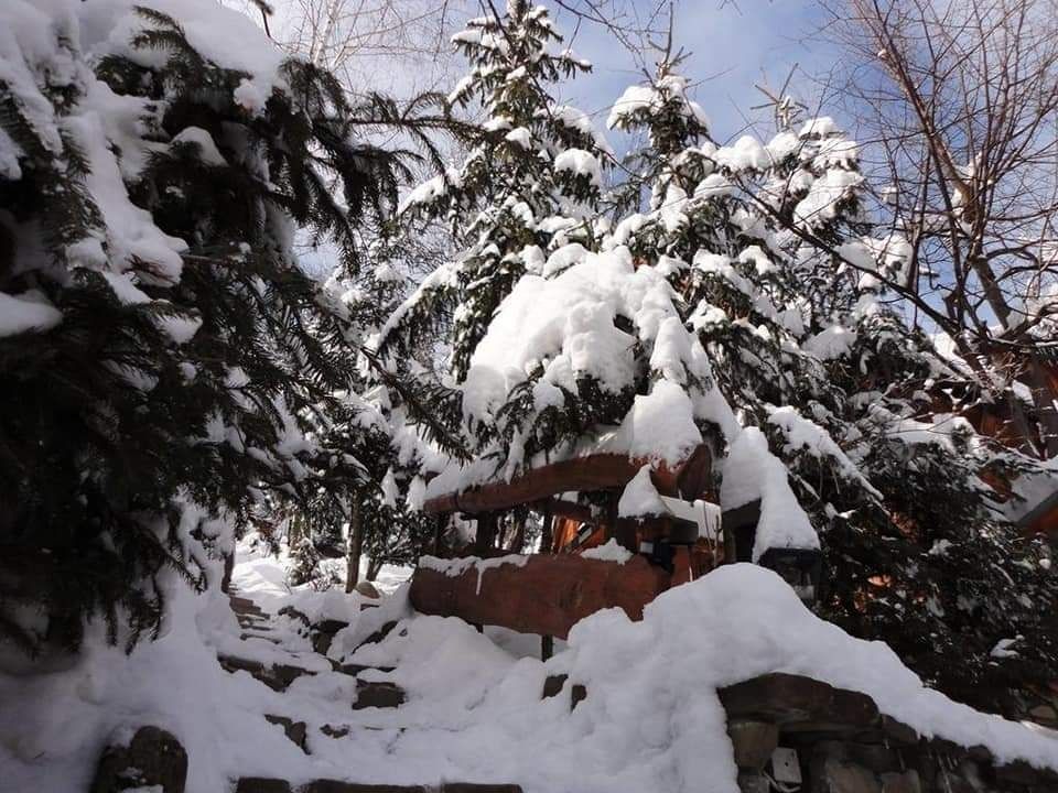 Domki całoroczne Zakopane