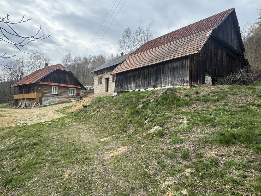 Dom Siedlisko Lutcza