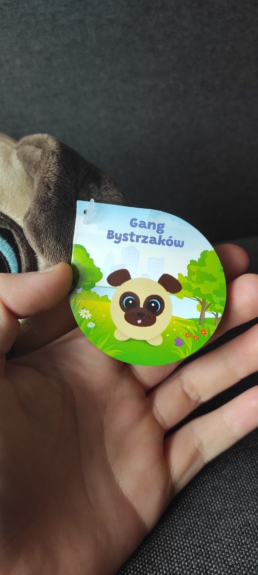 NOWE Gang Bystrzaków - piesek