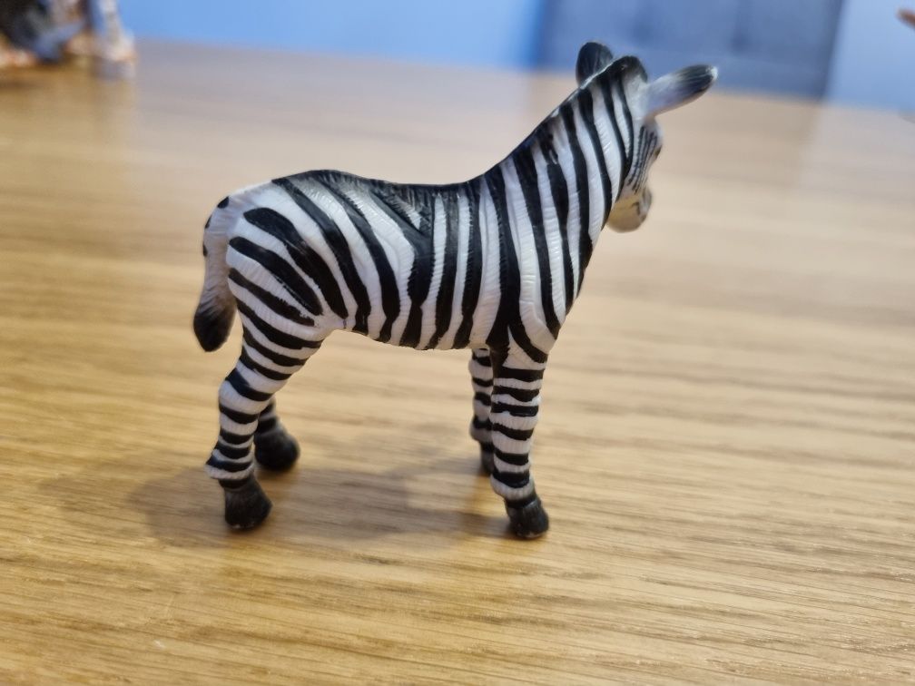 Mała zebra schleich figurka