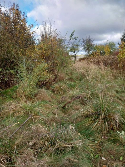 Koszenie traw,wycinki,glebogryzarki