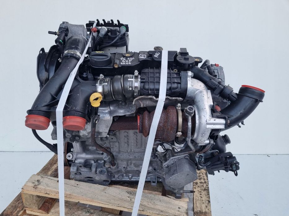 SILNIK KOMPLET Citroen Berlingo II 1.6 HDI ładnie pali 92KM 9H06 9HP