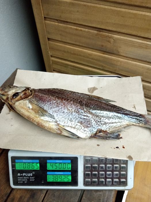 Риба Власного виробництва