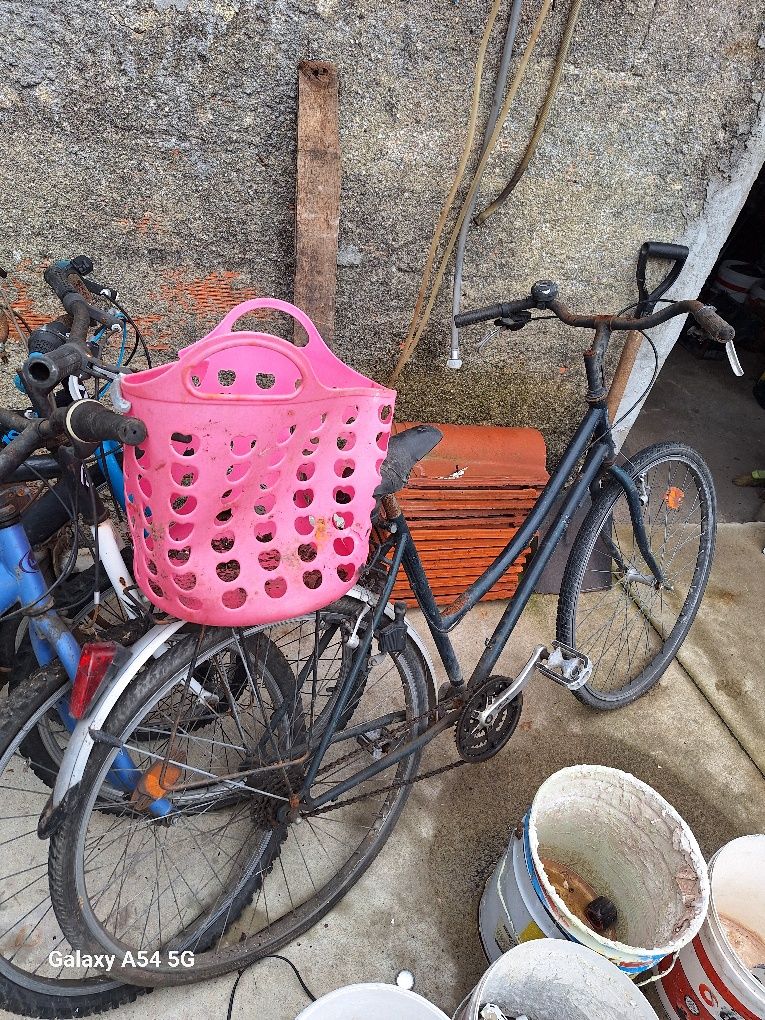 Lote de 6 bicicletas