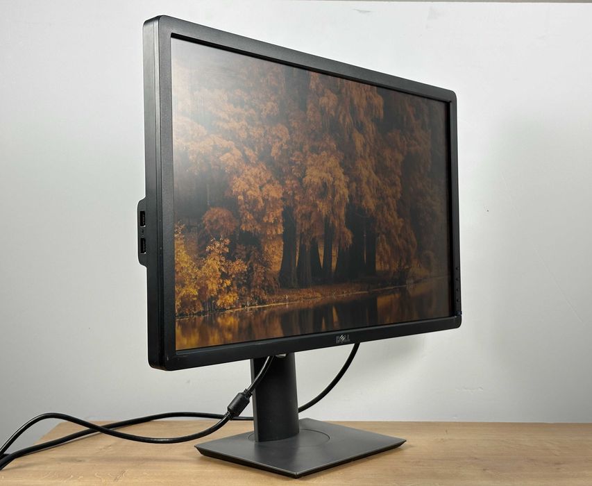 Idealny do biura Monitor Dell P2412H 24” LED Full HD