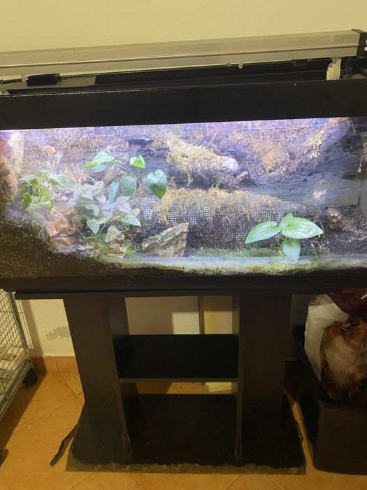 Vendo terrario/aquaterrario