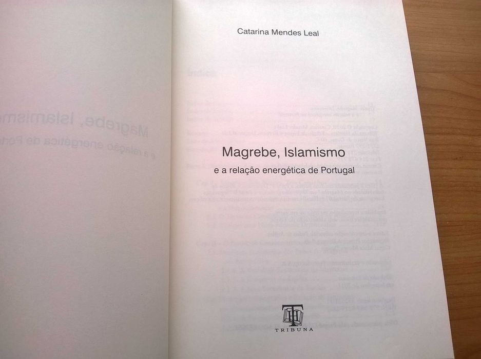 Magrebe, Islamismo e a Relação Energética de Portugal