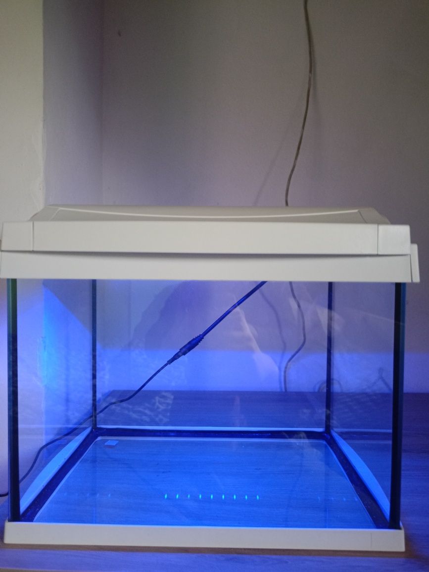 Akwarium Tetra 20l led