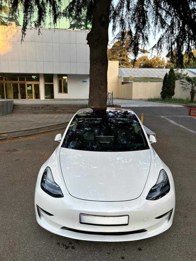 Tesla Model 3 2019 І покоління Performance 80.5 kWh Dual Motor  AWD