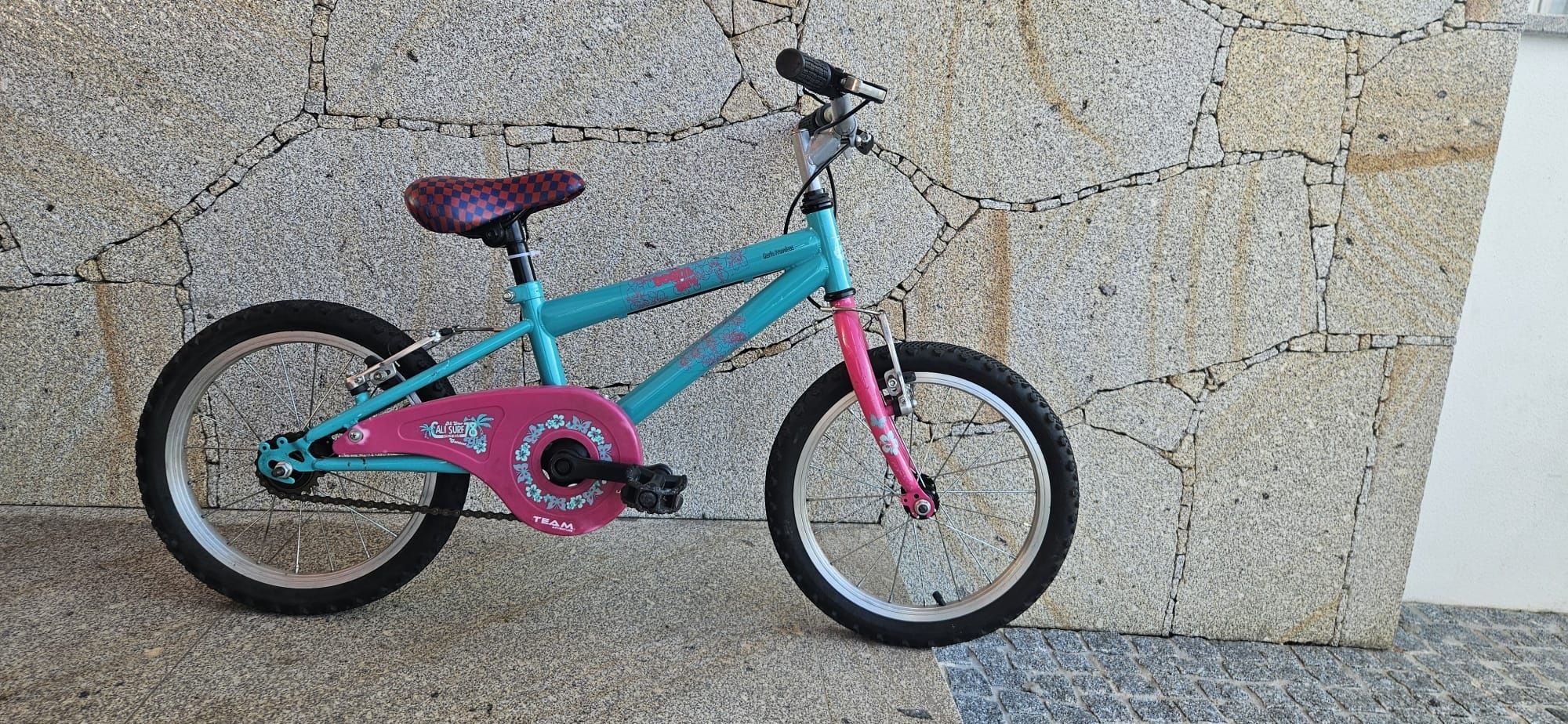 Bicicleta criança, team